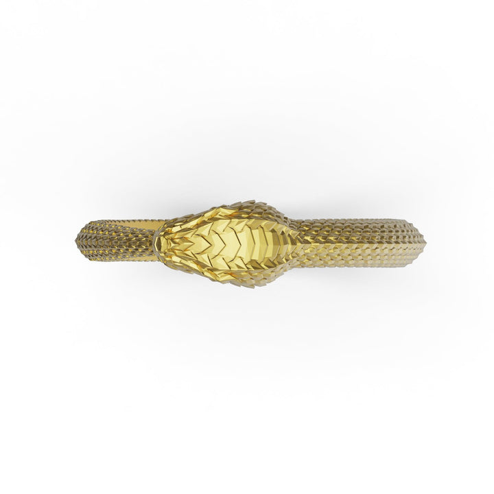 Thin Ouroboros Ring