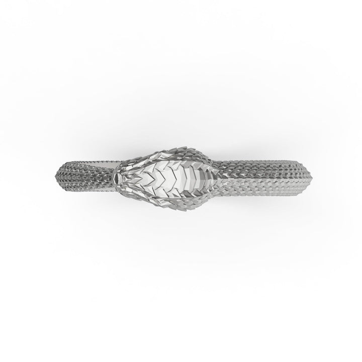 Thin Ouroboros Ring