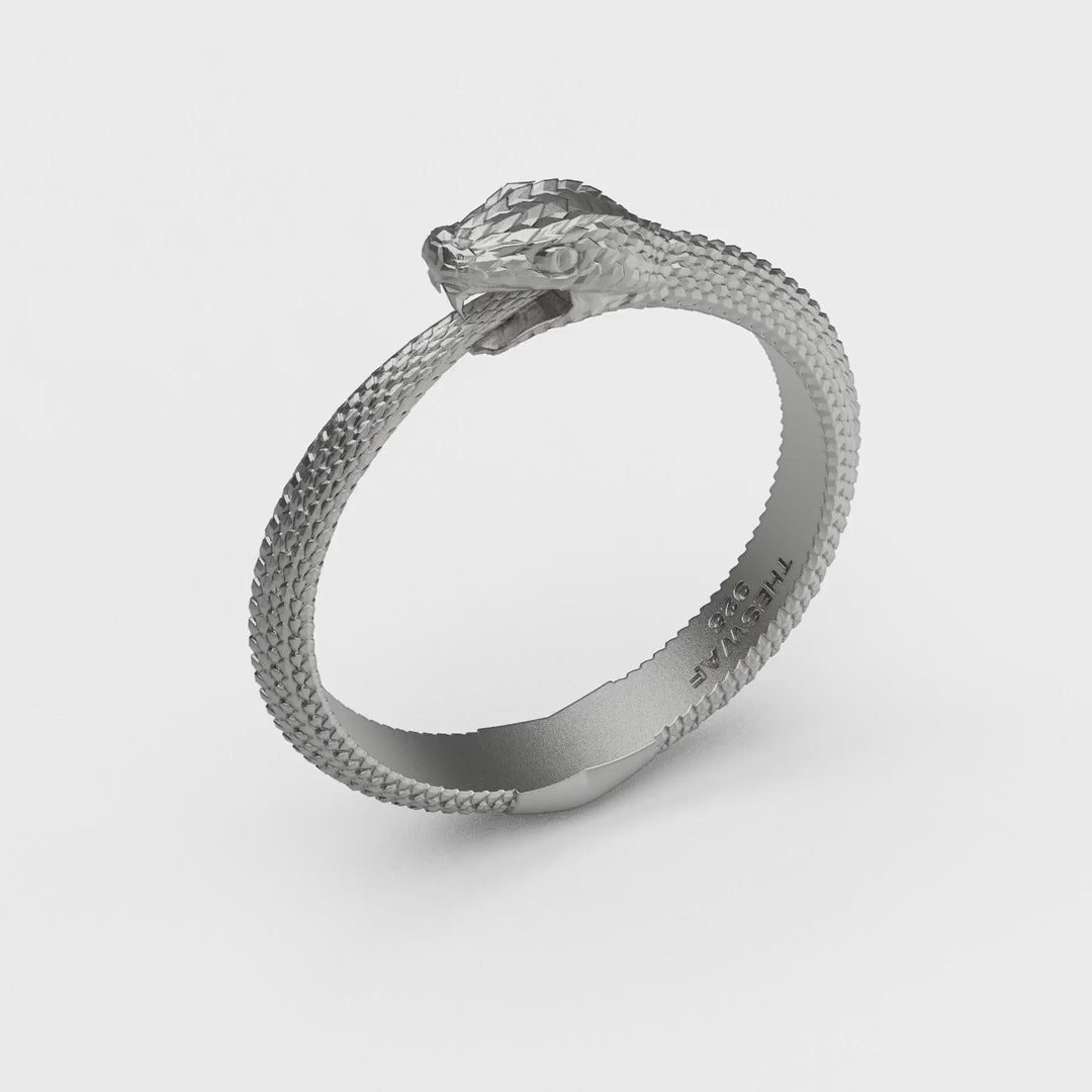 Thin Ouroboros Ring