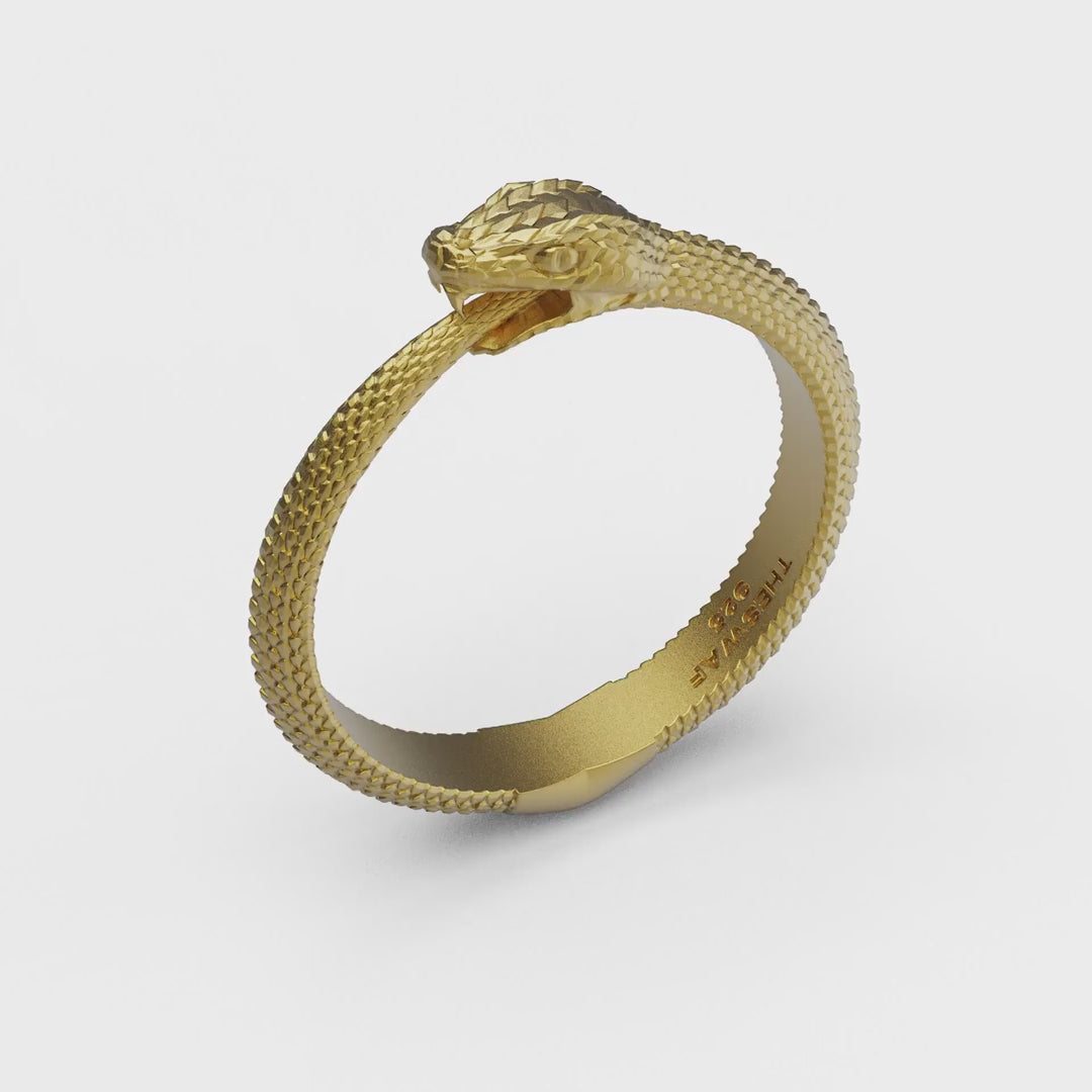 Thin Ouroboros Ring