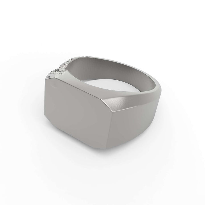 Lunar Crater Signet Ring