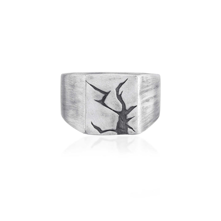 Arctic Fissure Signet Ring