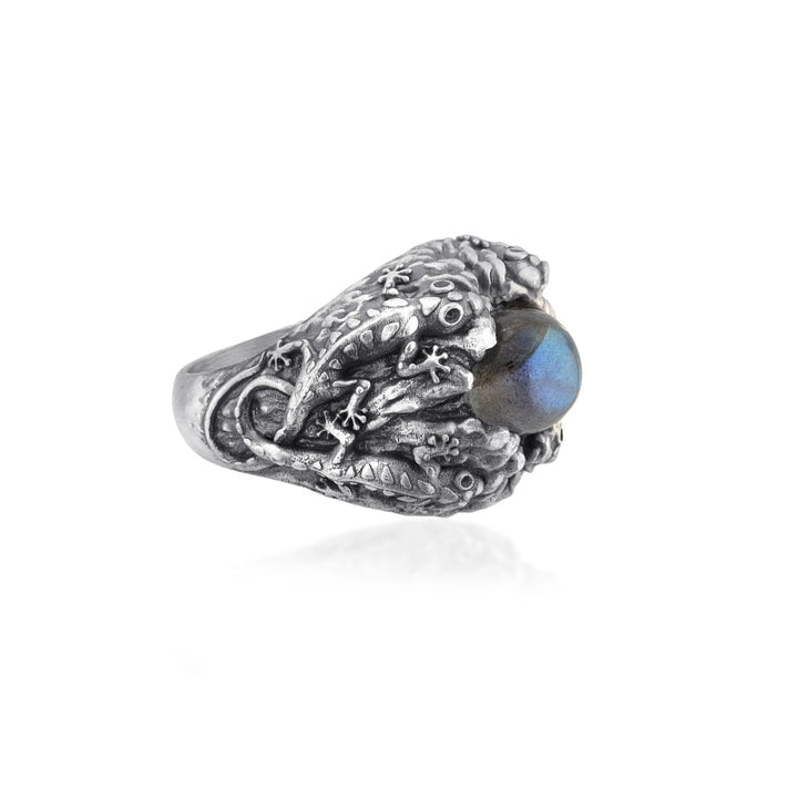 Camaleonte Labradorite Ring side view