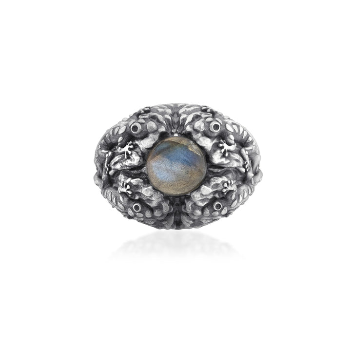 Camaleonte Labradorite Ring top view