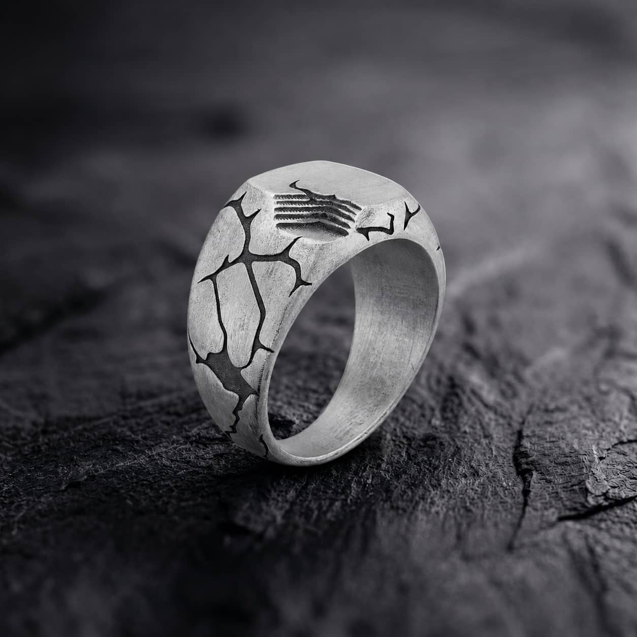 Terra Fissure Signet Ring