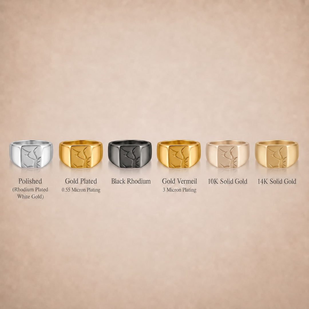 Arctic Fissure Signet Ring