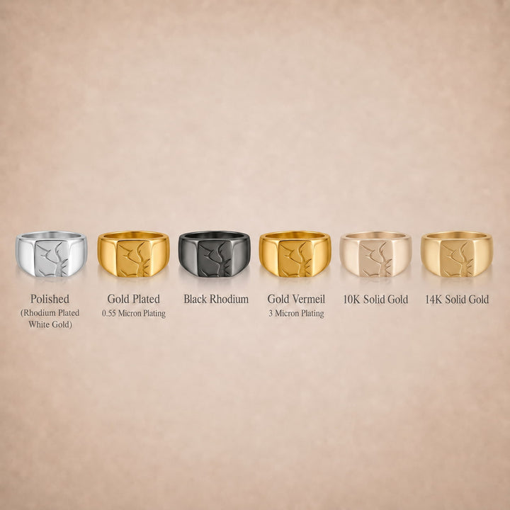 Arctic Fissure Signet Ring