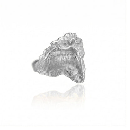 Celestial Protector Ring