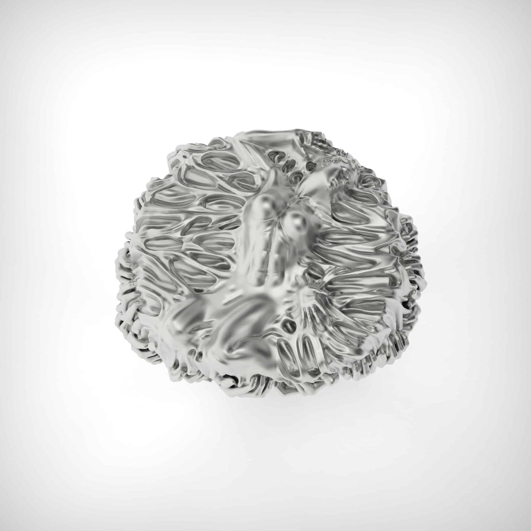 Grasped Soul Ring