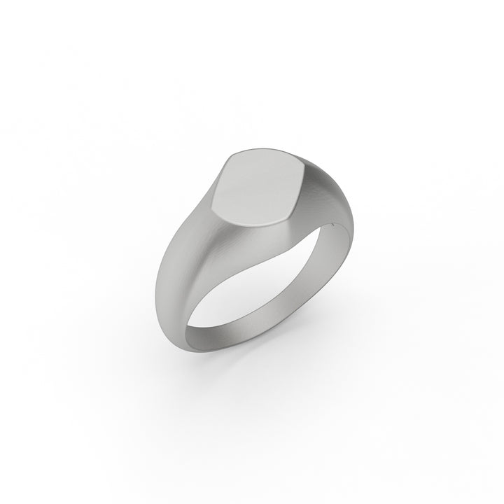 Sleek Signet Ring