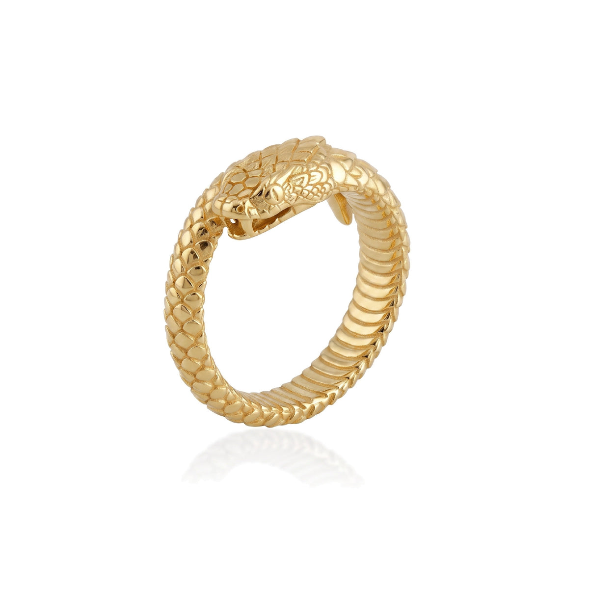 Snake Band Ring