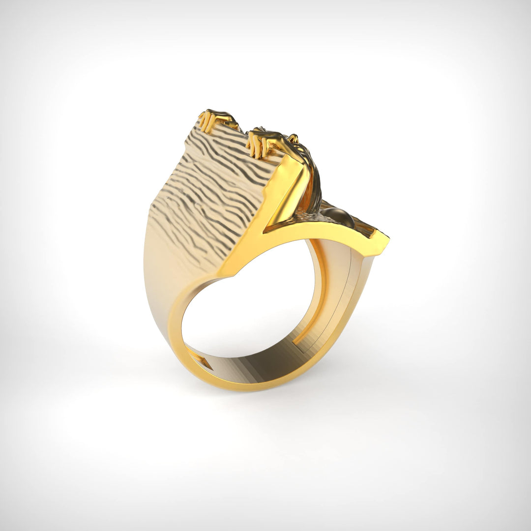 Veiled Passage Ring