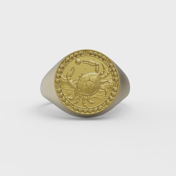 Pisces Zodiac Ring