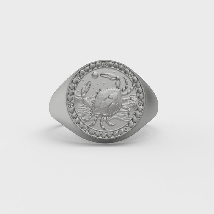 Pisces Zodiac Ring