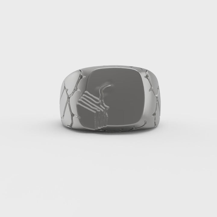 Terra Fissure Signet Ring