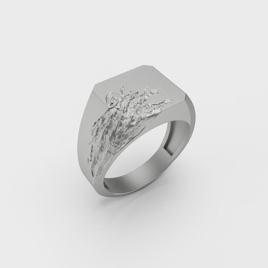 Carved Men Ring