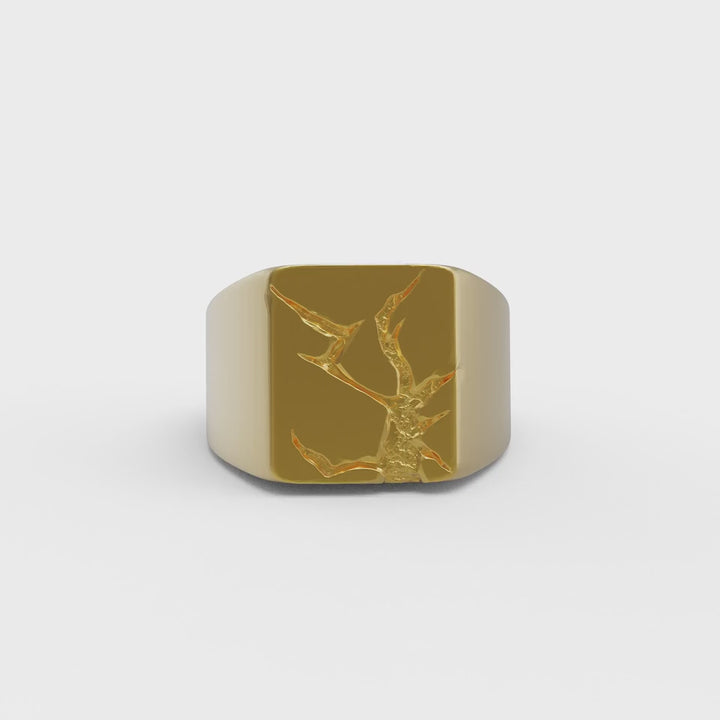 Arctic Fissure Signet Ring