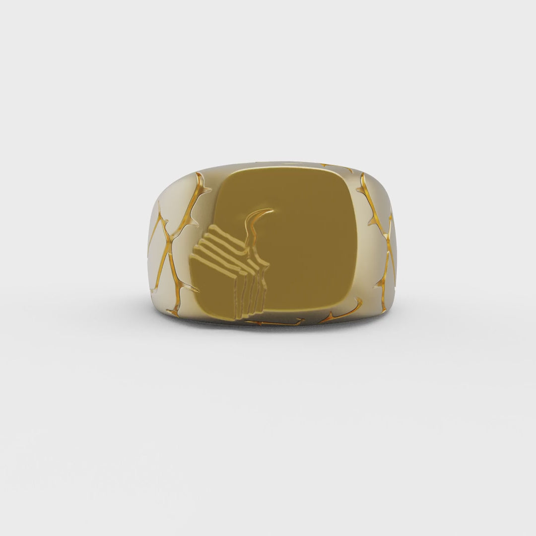 Terra Fissure Signet Ring