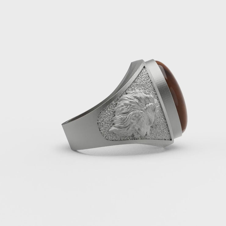 caa7dc45552d4ad9b84b59c4e17588