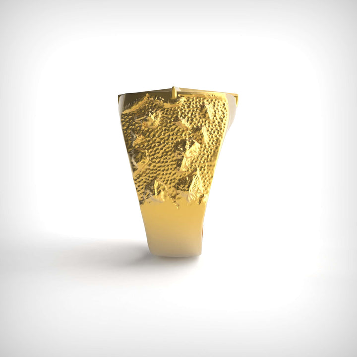 North Star Worn Signet