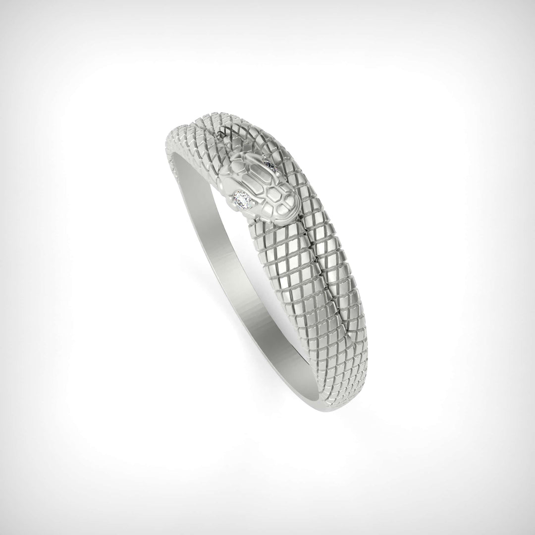 Minimal Snake Coil Ring