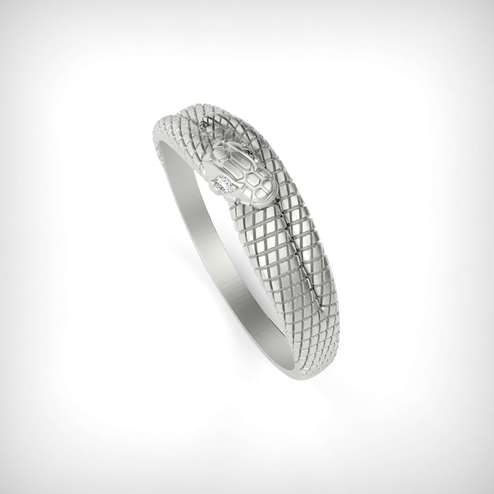 Minimal Snake Coil Ring