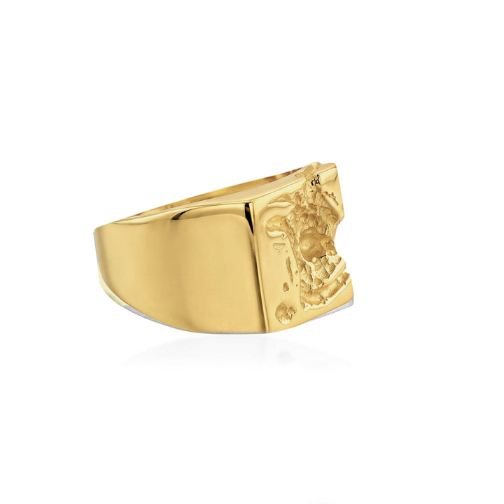 Galactic Signet Ring