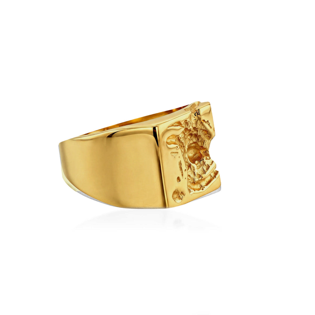 Galactic Signet Ring