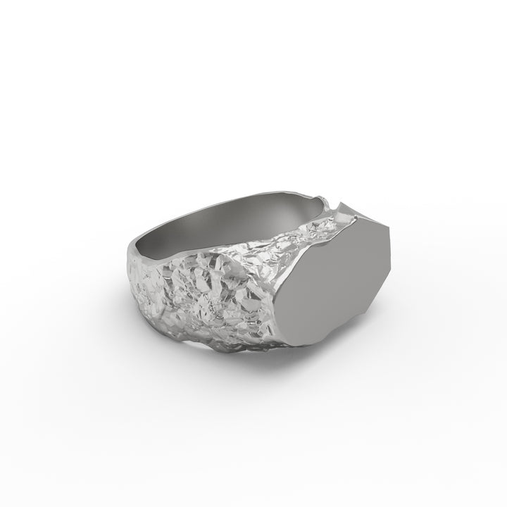 Cosmic Meteorite Signet Ring