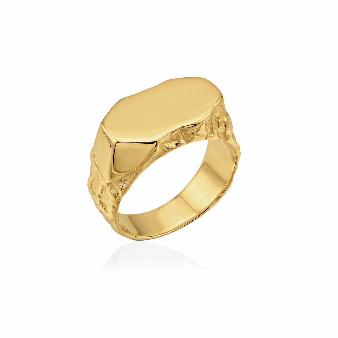 Cosmic Meteorite Signet Ring