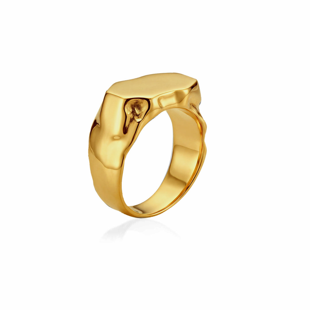 Cosmic Meteorite Signet Ring