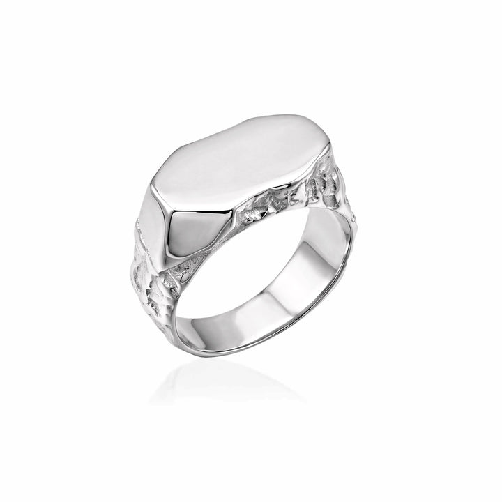 Cosmic Meteorite Signet Ring