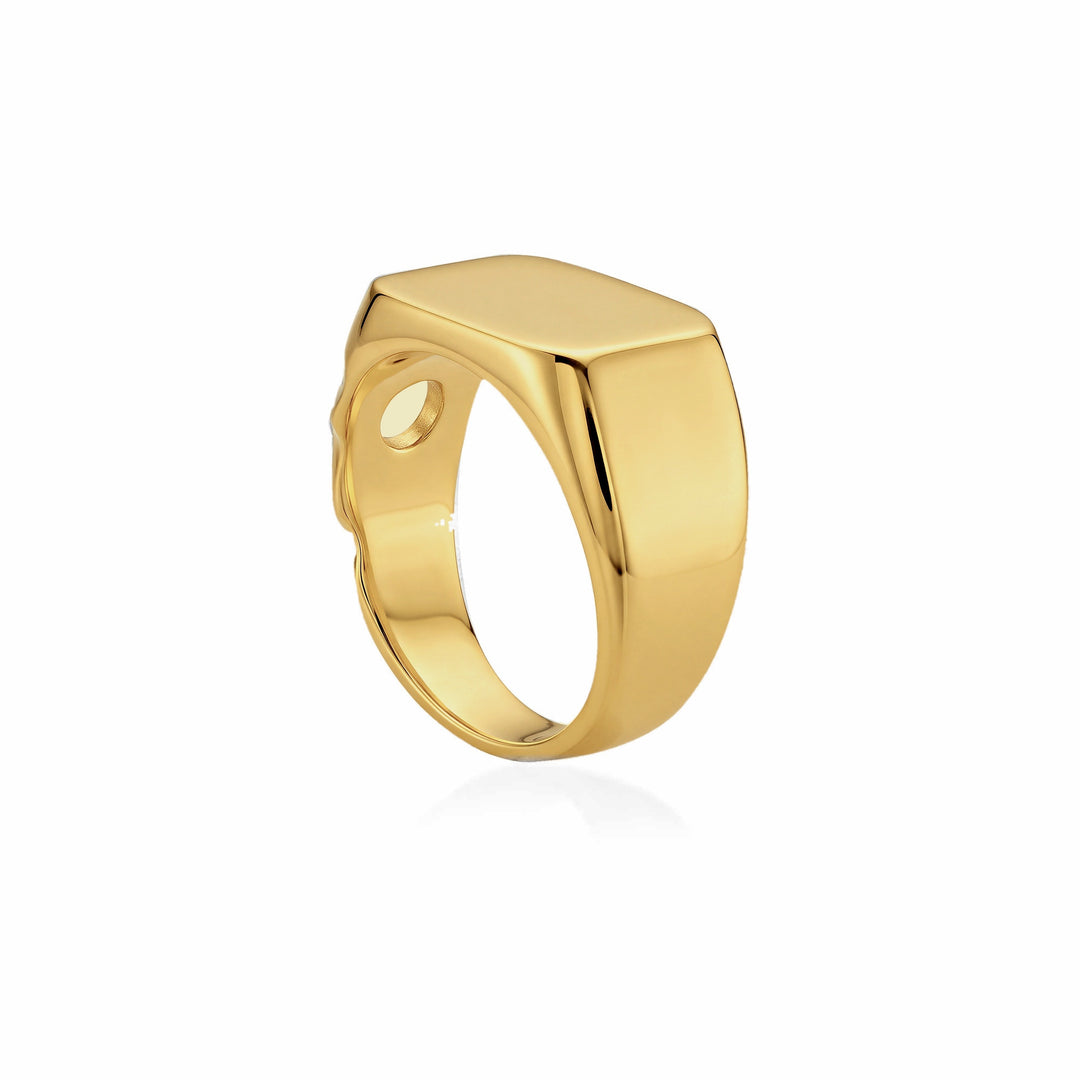Lunar Crater Signet Ring
