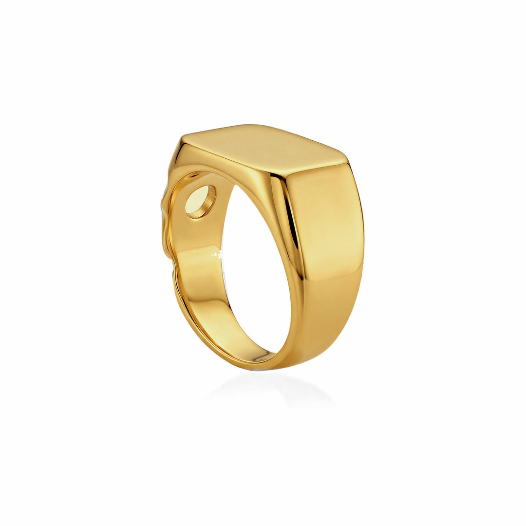 Lunar Crater Signet Ring