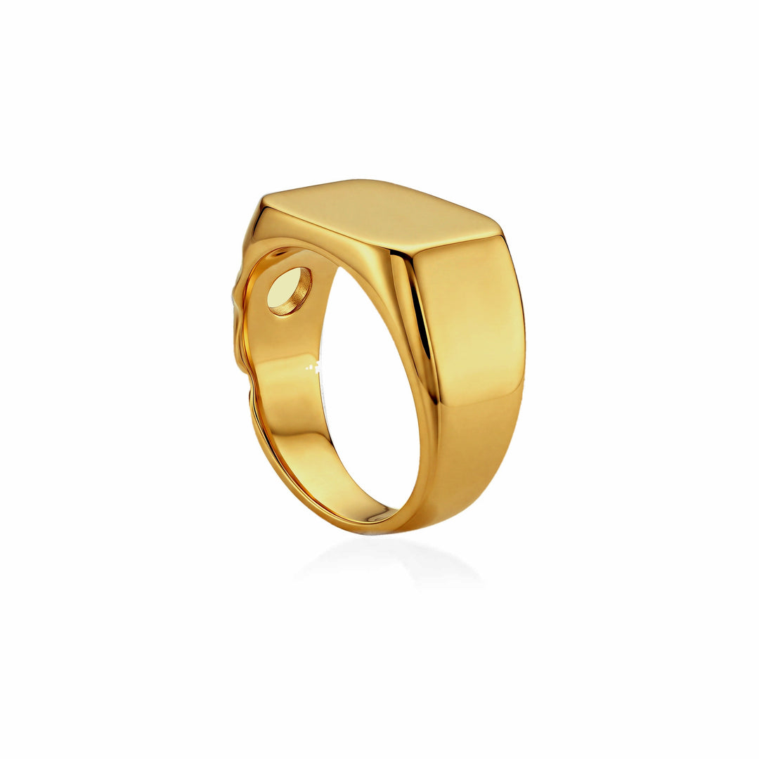 Lunar Crater Signet Ring