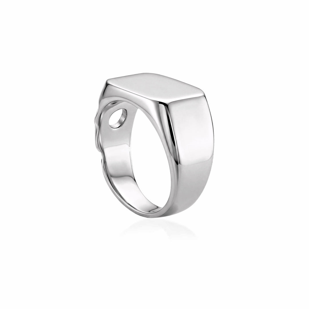 Lunar Crater Signet Ring