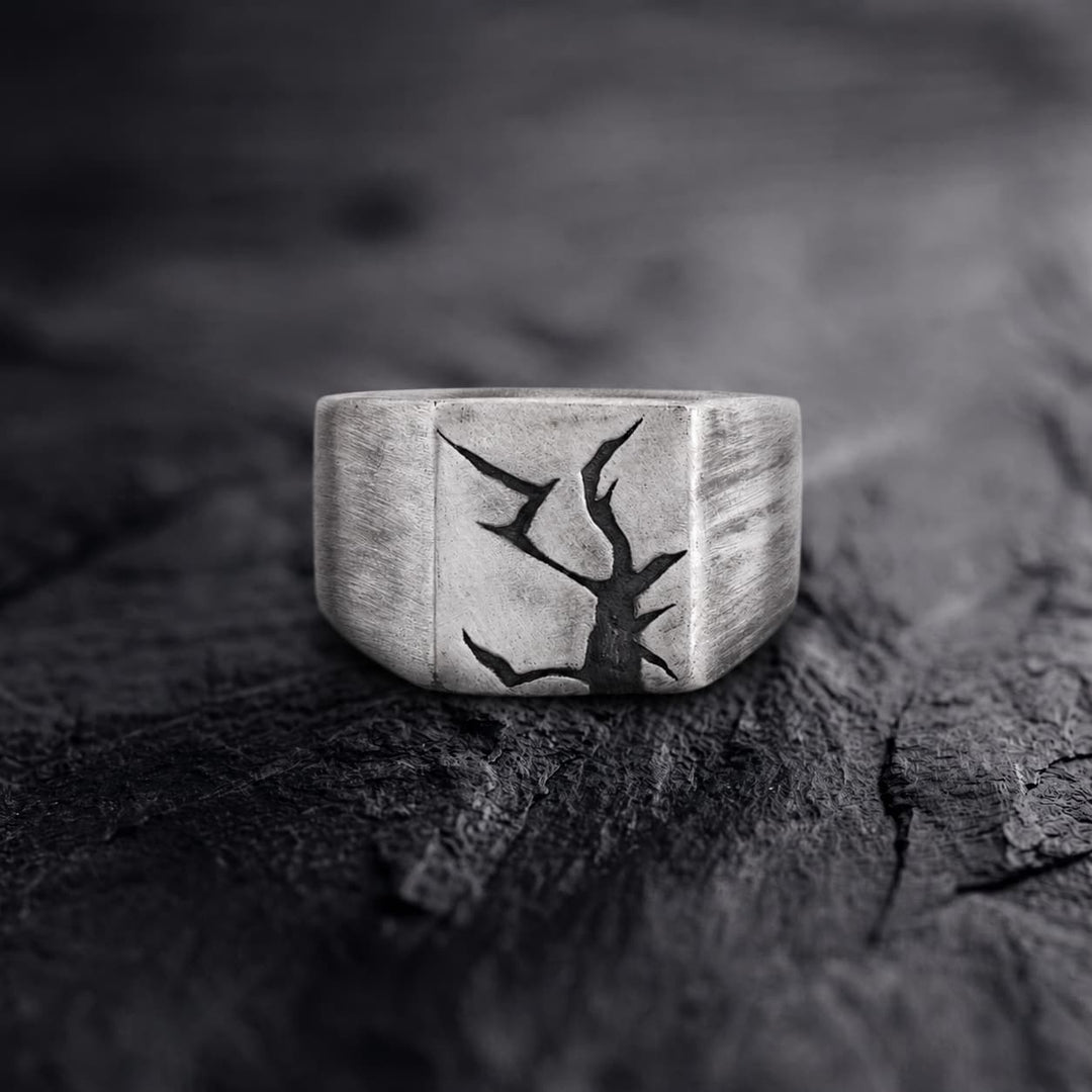 Arctic Fissure Signet Ring