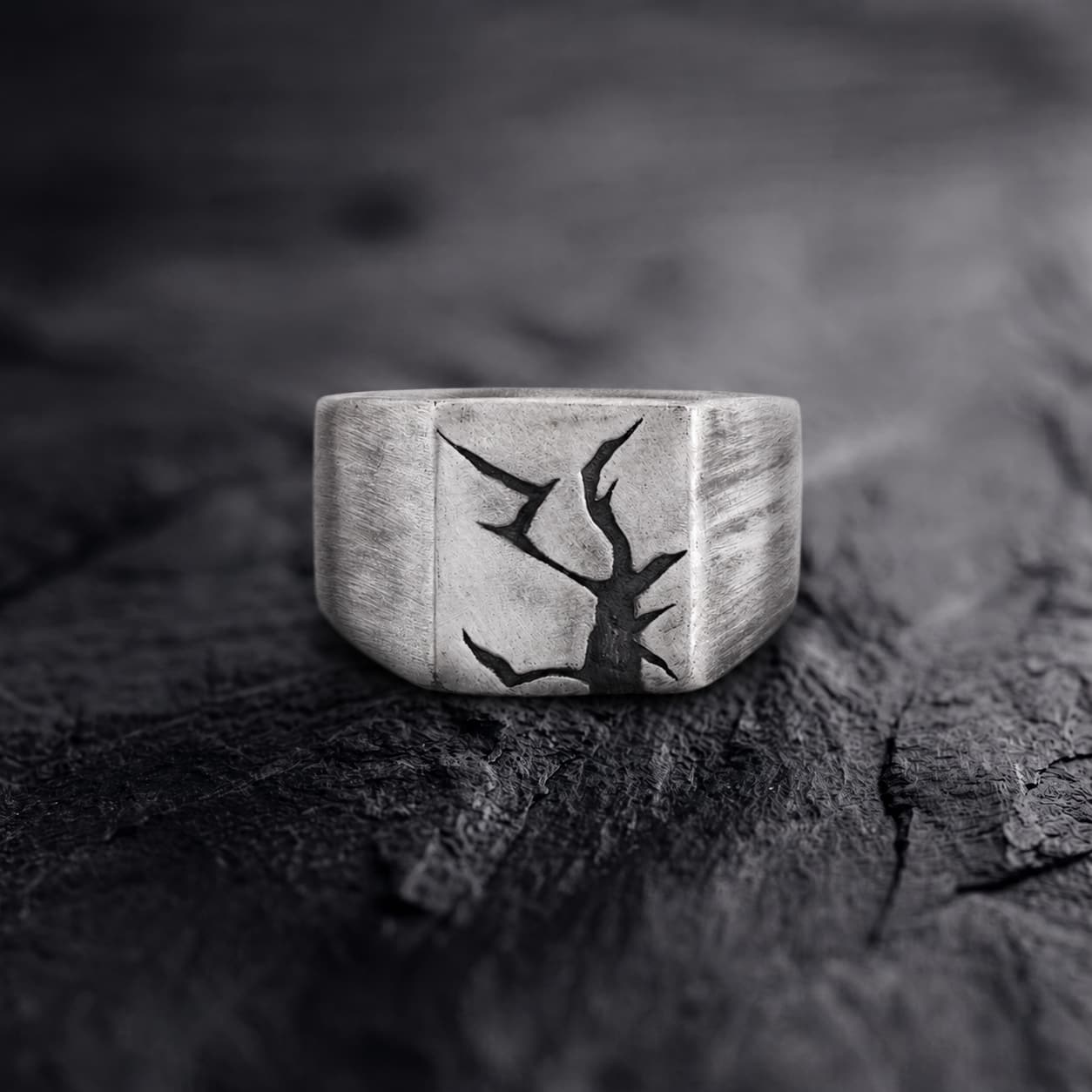 Arctic Fissure Signet Ring