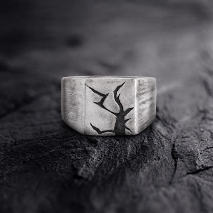 Arctic Fissure Signet Ring