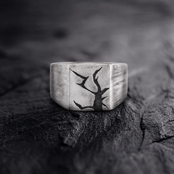 Arctic Fissure Signet Ring