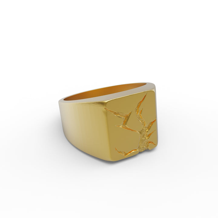 Arctic Fissure Signet Ring