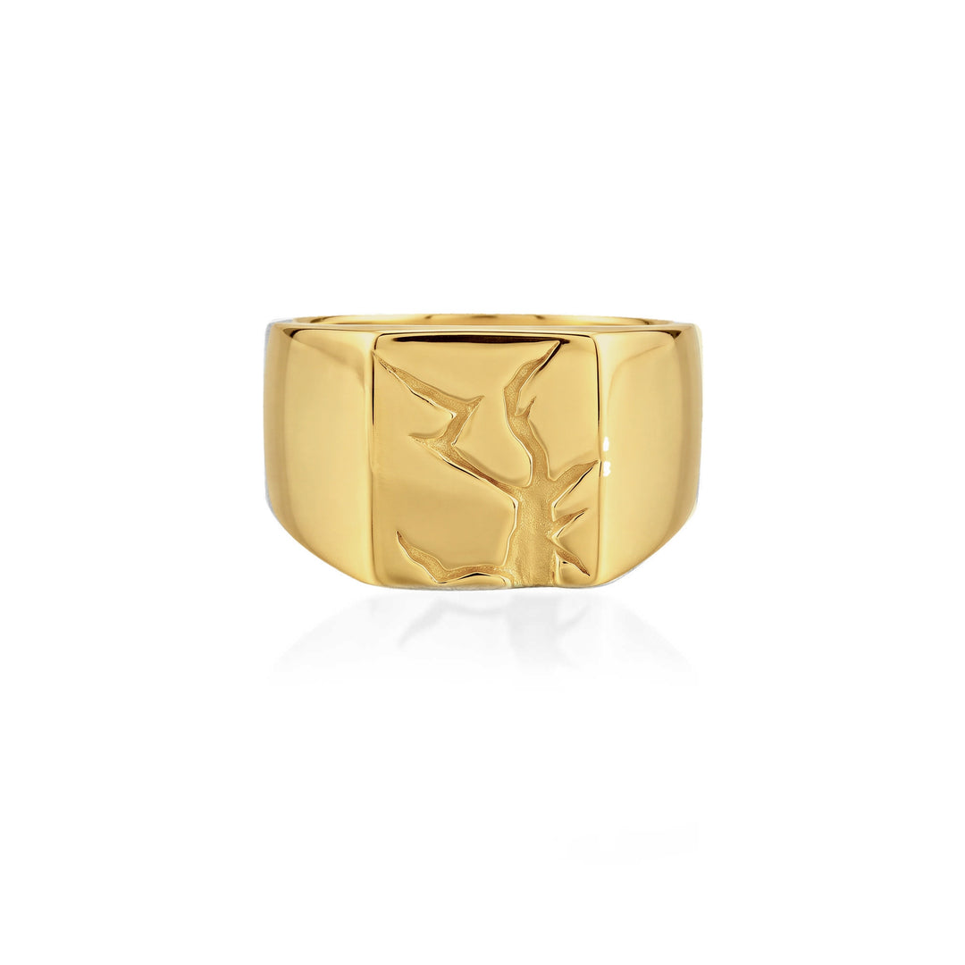 Arctic Fissure Signet Ring