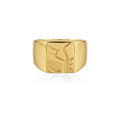 Arctic Fissure Signet Ring