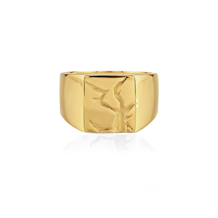 Arctic Fissure Signet Ring