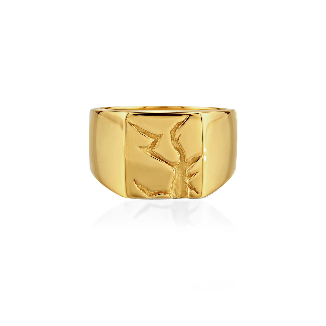 Arctic Fissure Signet Ring