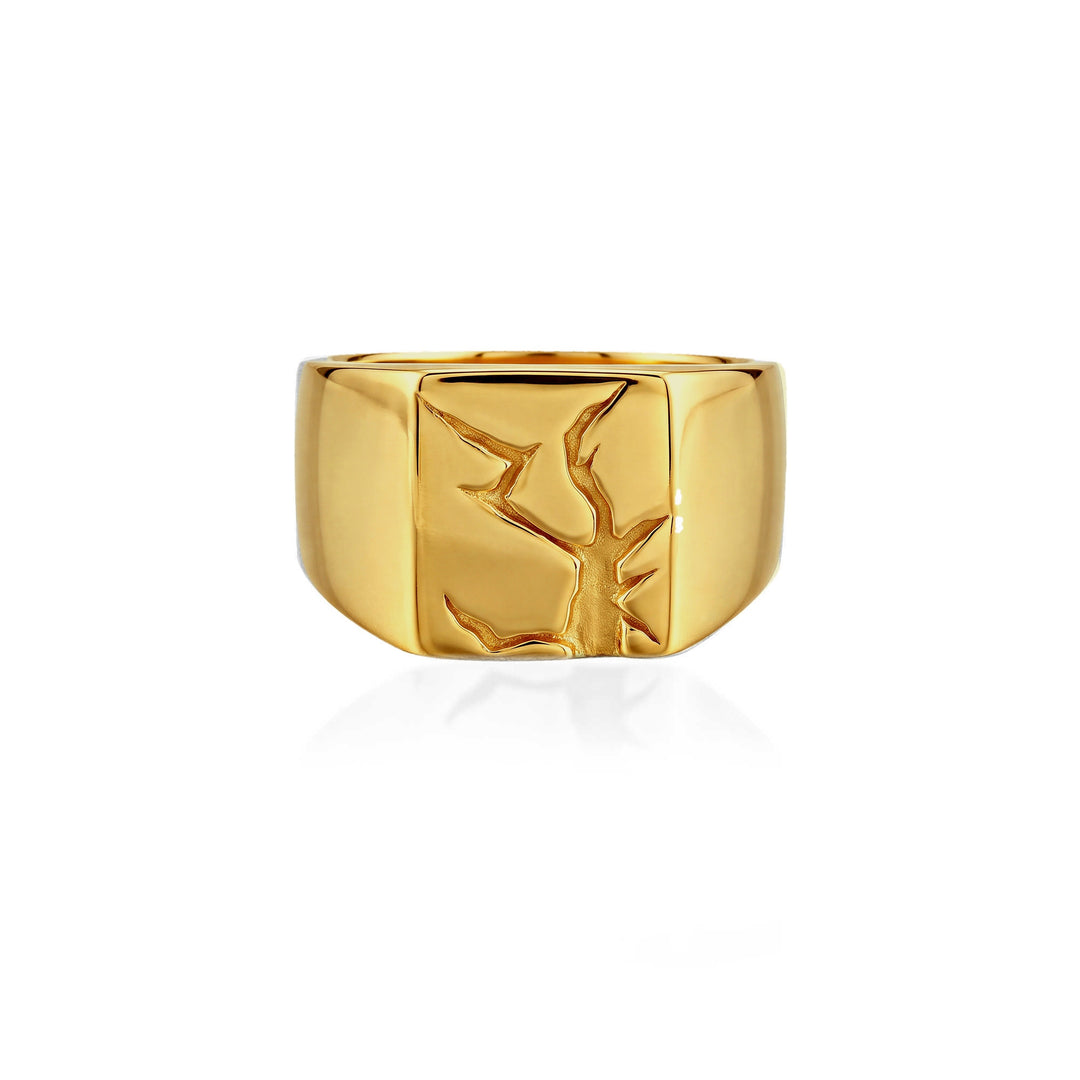 Arctic Fissure Signet Ring