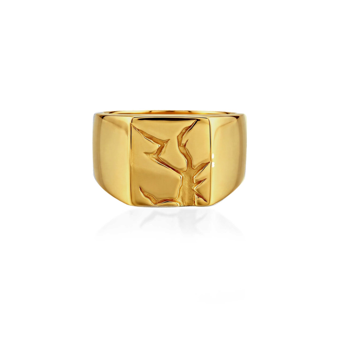 Arctic Fissure Signet Ring