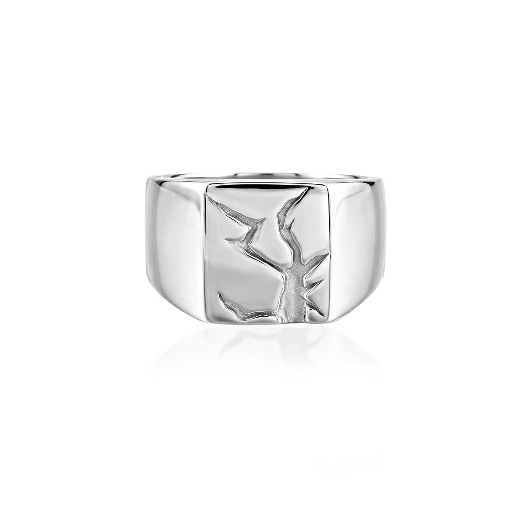 Arctic Fissure Signet Ring