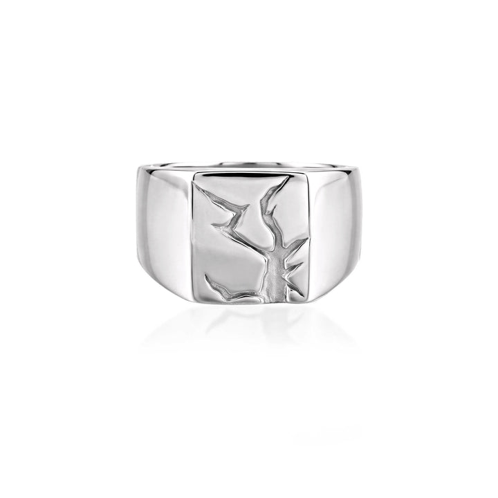 Arctic Fissure Signet Ring