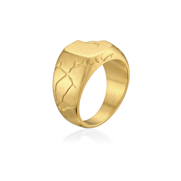 Terra Fissure Signet Ring